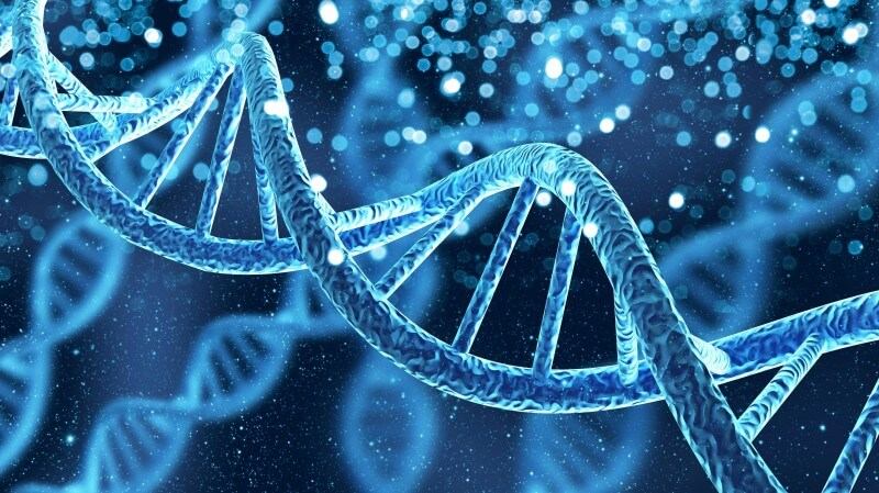 Creative Biolabs T7 display platform advantage. (Creative Biolabs Authorized)