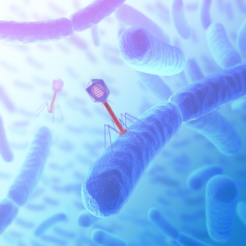 Fig.1 http://47.109.42.40:8006/images/20180709215338_3043.jpg. (Creative Biolabs Authorized)