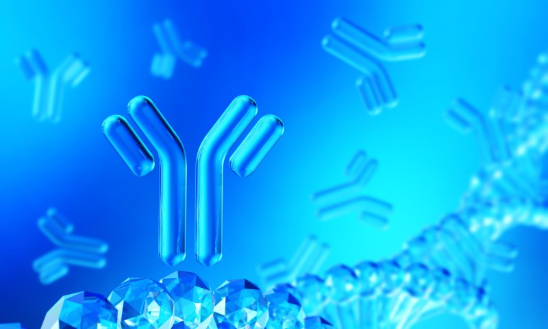http://47.109.42.40:8006/images/faf5e6c88792690698ed6e8d96bf66f5.jpg. (Creative Biolabs Authorized)