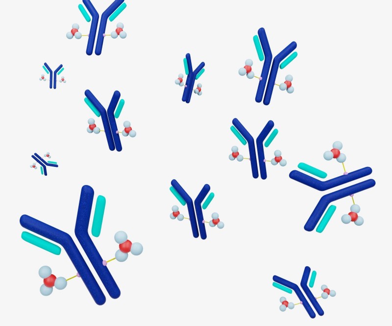 http://47.109.42.40:8006/images/5ede1136aeb095723d93685c979f23e2.jpg. (Creative Biolabs Authorized)