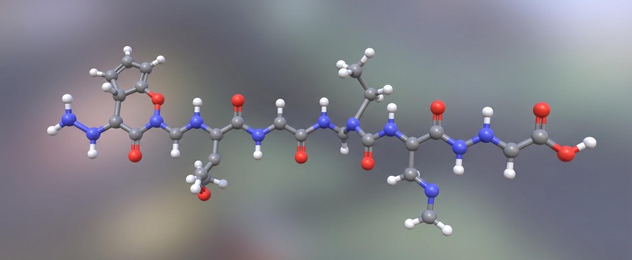 Fig.1 Schematic diagram of peptide structure. (Creative Biolabs AI)