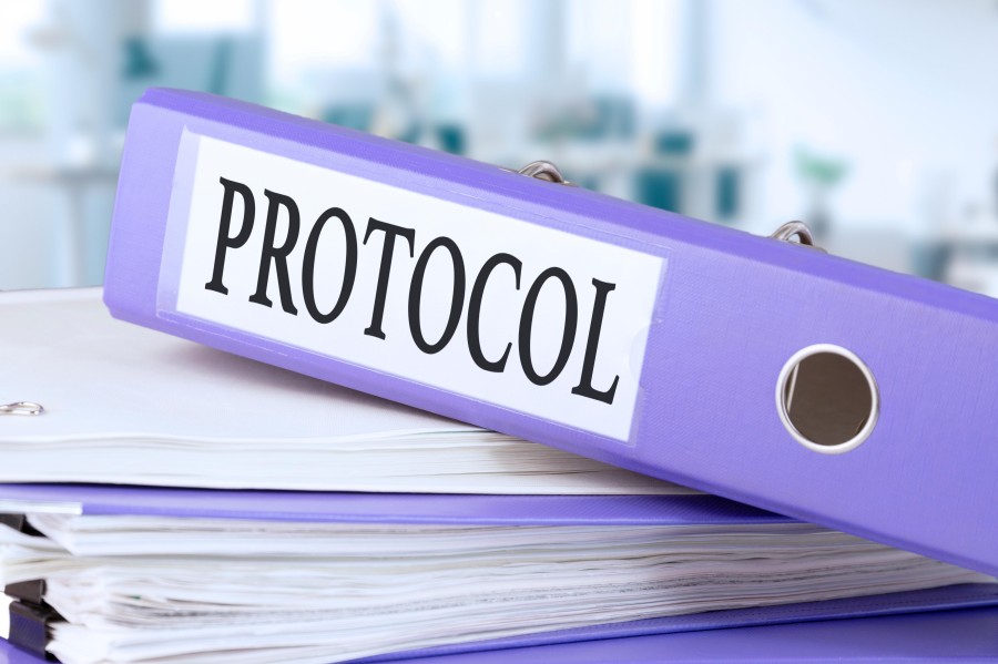 Fig.3 Protocol. (Creative Biolabs Authorized)
