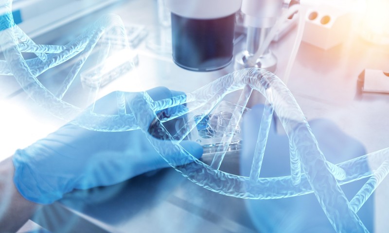 Fig.1 http://47.109.42.40:8006/images/20191231120410_5699.jpg. (Creative Biolabs Authorized)
