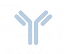 Fig.4 Format-Flexible. (Creative Biolabs AI)