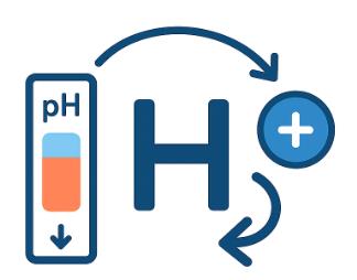 Fig.1 Histidine-Driven Activation. (Creative Biolabs AI)