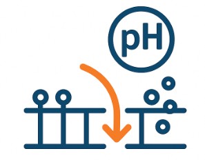 Fig.4 Spatial Proton Gradients. (Creative Biolabs AI)