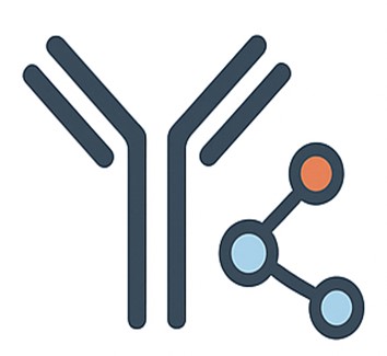 Fig.6 Monoclonal antibody icon. (Creative Biolabs AI)