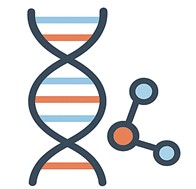 Fig.3 Library construction icon. (Creative Biolabs AI)
