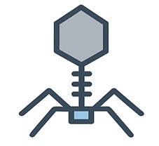 Fig.2 Thermal-stable protein domain icon. (Creative Biolabs AI)