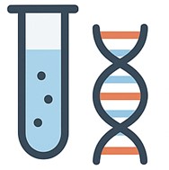 Fig.4 Library screening icon. (Creative Biolabs AI)