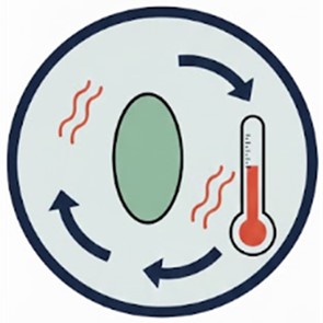 Fig.6 VHH Screening. (Creative Biolabs AI)