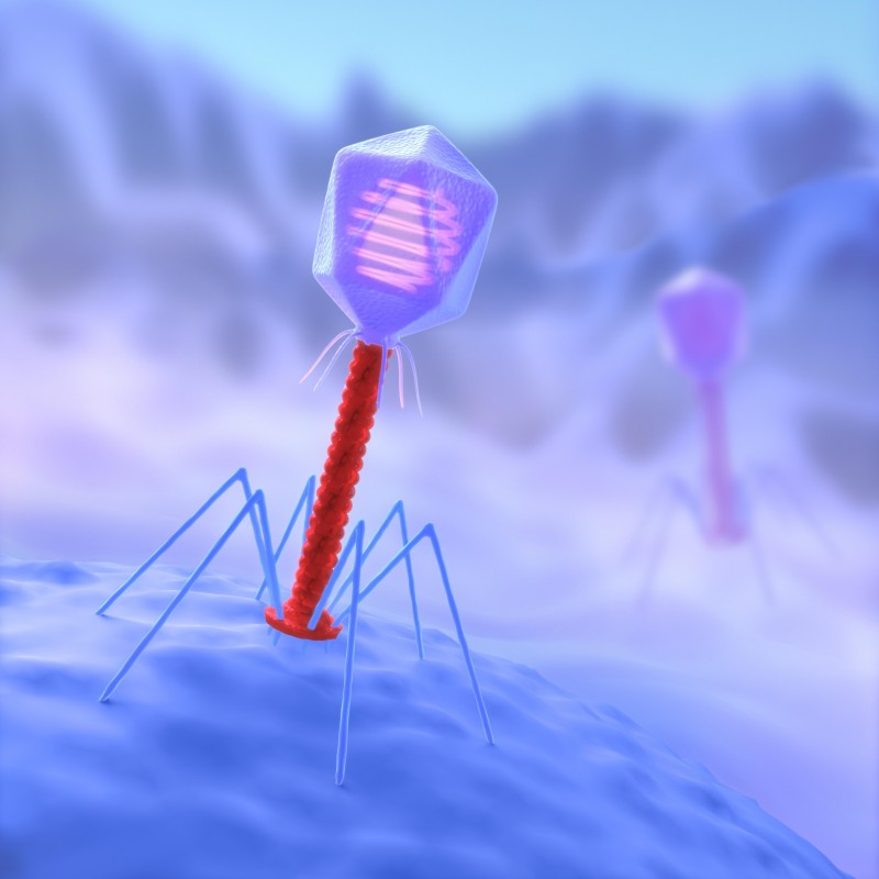 Fig.1 http://47.109.42.40:8006/images/20180710045315_1813.jpg. (Creative Biolabs Authorized)