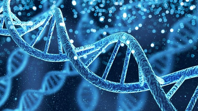 Fig.2 http://47.109.42.40:8006/images/8ab3fb97d84372df72e4694adca88768.jpg. (Creative Biolabs Authorized)
