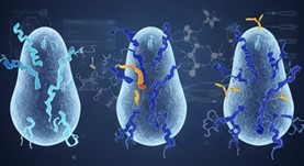 Fig.3 Affinity Maturation. (Creative Biolabs AI)