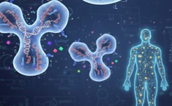 Fig.5 mAb Identification. (Creative Biolabs AI)