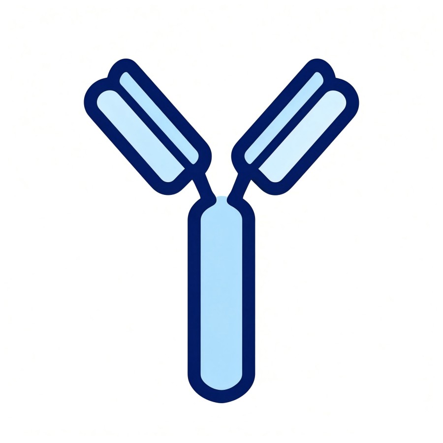 Fig.3 Antibody discovery. (Creative Biolabs AI)