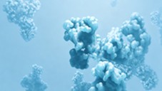 Fig.13 Antibody (Creative Biolabs AI)