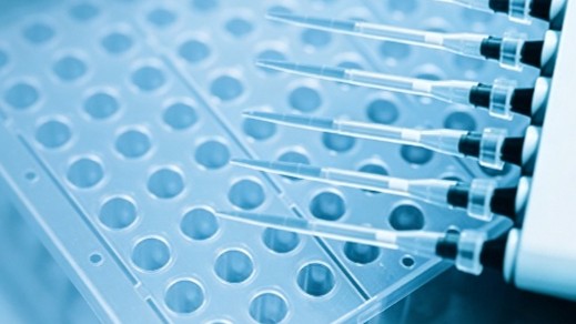 Fig.15 Pipette (Creative Biolabs AI)