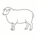 Fig.2 Sheep (Creative Biolabs AI)