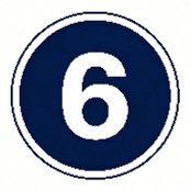 Fig.13 Number Six. (Creative Biolabs AI)