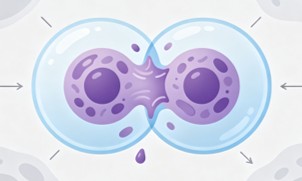 Fig.8 Cells. (Creative Biolabs AI)