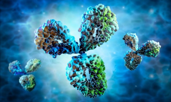 Fig.1 Antibody. (Creative Biolabs Authorized)