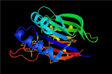 Fig.1 TRAF and TNF receptor-associated protein (TTRAP). (Creative Biolabs Authorized)