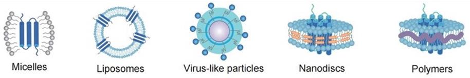Different membrane protein formats (Creative Biolabs Original)