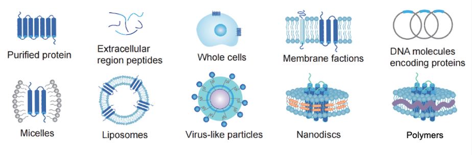 Different antigen formats (Creative Biolabs Original)