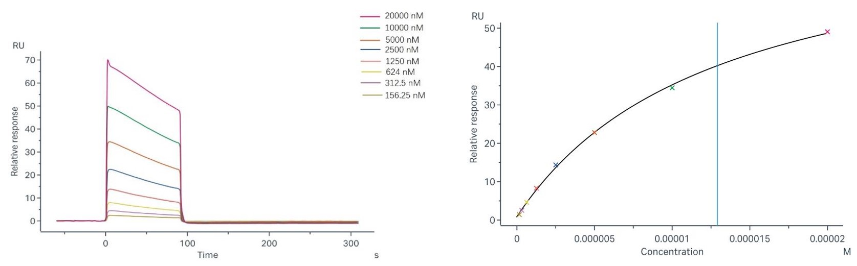 Fig.2 Binding and fitting curves between sample-1 with FcγRI/CD64. (Creative Biolabs Original)