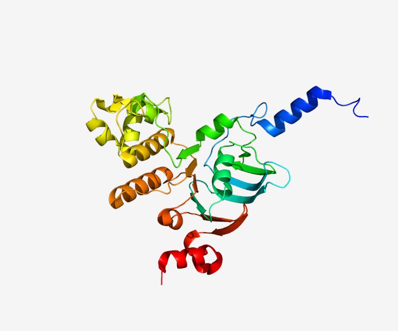Structure of protein ABCB6.