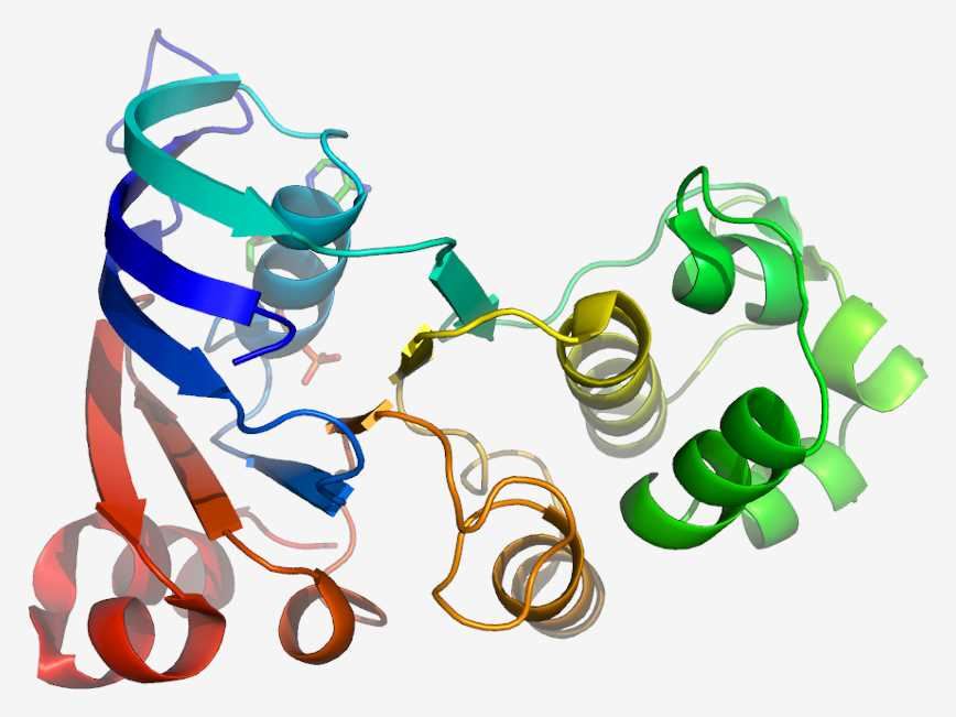 ABCC1 Membrane Protein Introduction