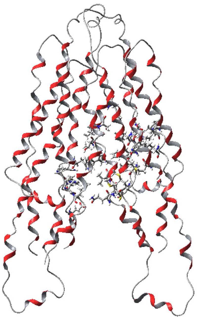 ABCC2 Membrane Protein Introduction
