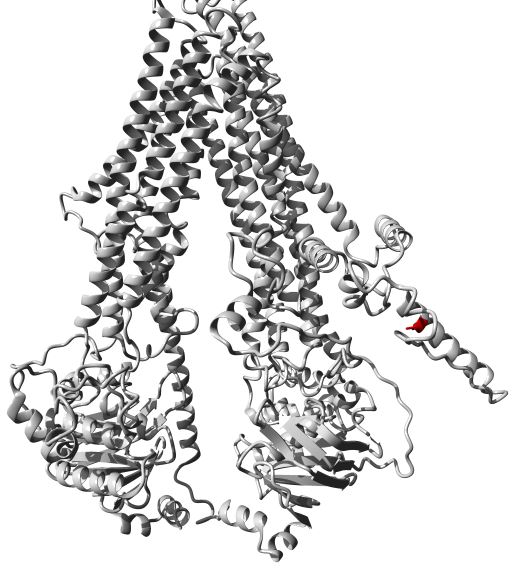 ABCC9 Membrane Protein Introduction