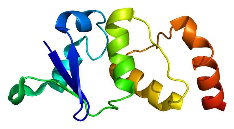 APP Membrane Protein Introduction