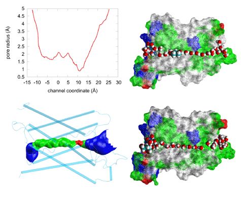 Steric fitness of 1,3-propanediol (PDO) inside AQP4.