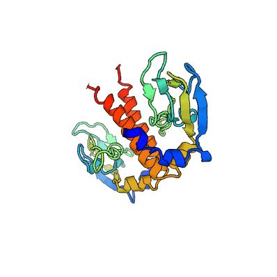  Structure of BVES membrane protein.