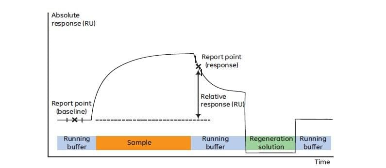 Figure 1. Standard procedure of Biacore system for affinity measurement and kinetic determination