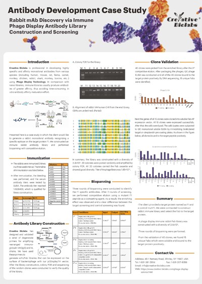 Antibody Development Case Study