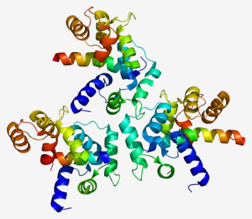 Structure of CACNA1C membrane protein.