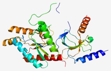 Structure of CACNB2 membrane protein.