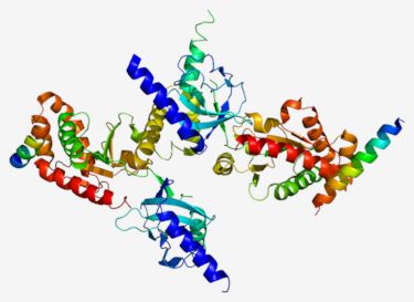 Structure of CACNB3 membrane protein.