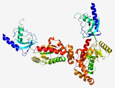 Structure of CACNB4 membrane protein.