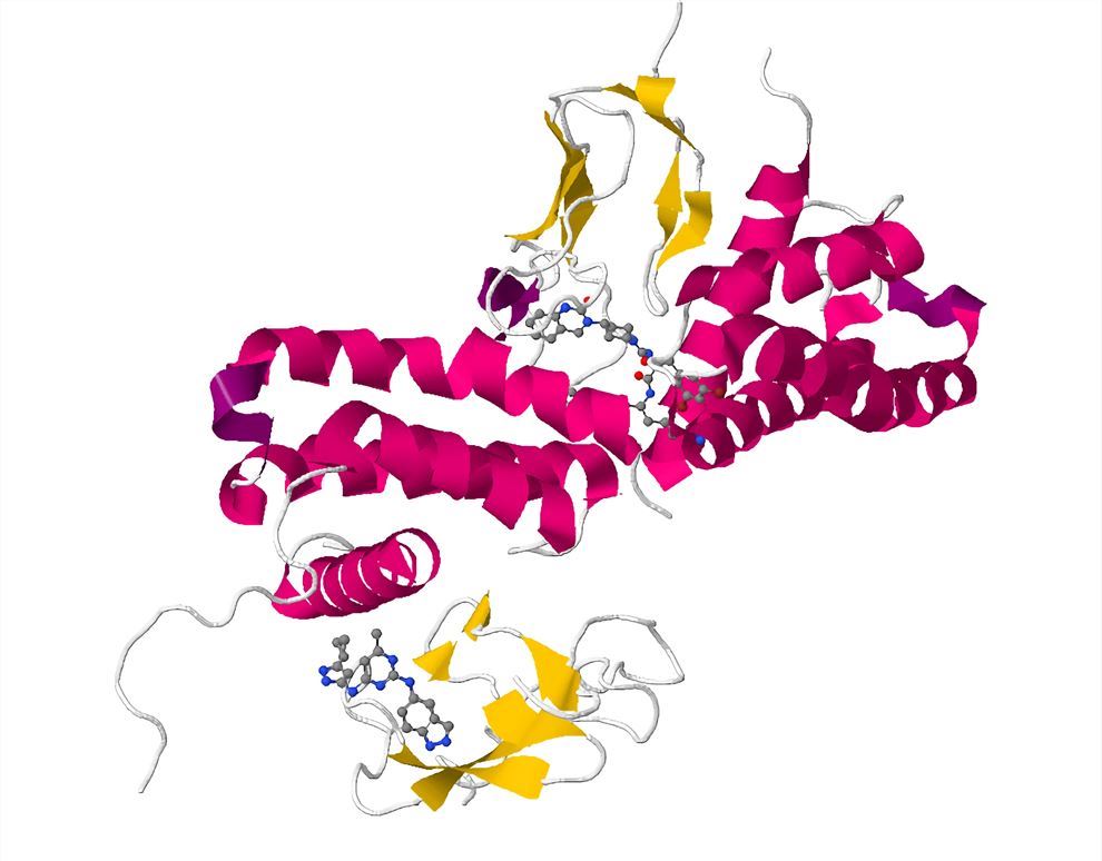 CALCRL Membrane Protein Introduction