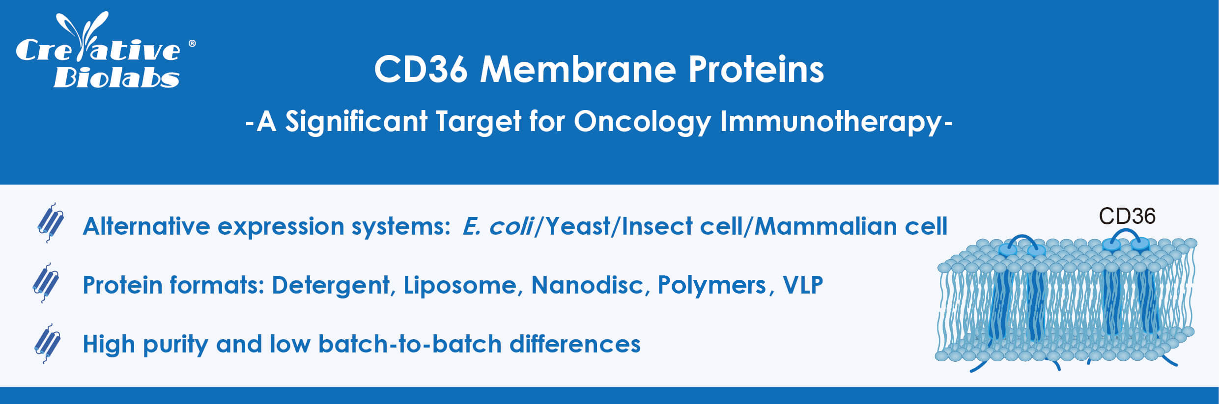 CD36