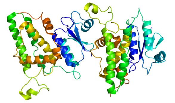 CLIC1 Membrane Protein Introduction