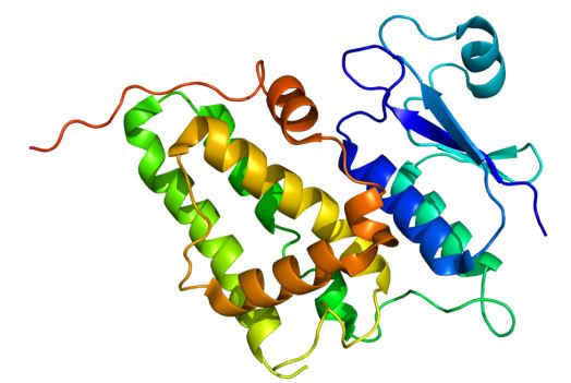CLIC4 Membrane Protein Introduction