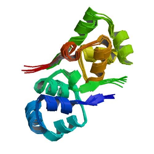 Structure of CYSLTR2 membrane protein.