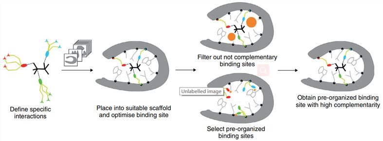Workflow for de novo design of ligand-binding protein.