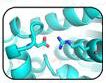 Computer-Aided Enzyme Stability Analysis
